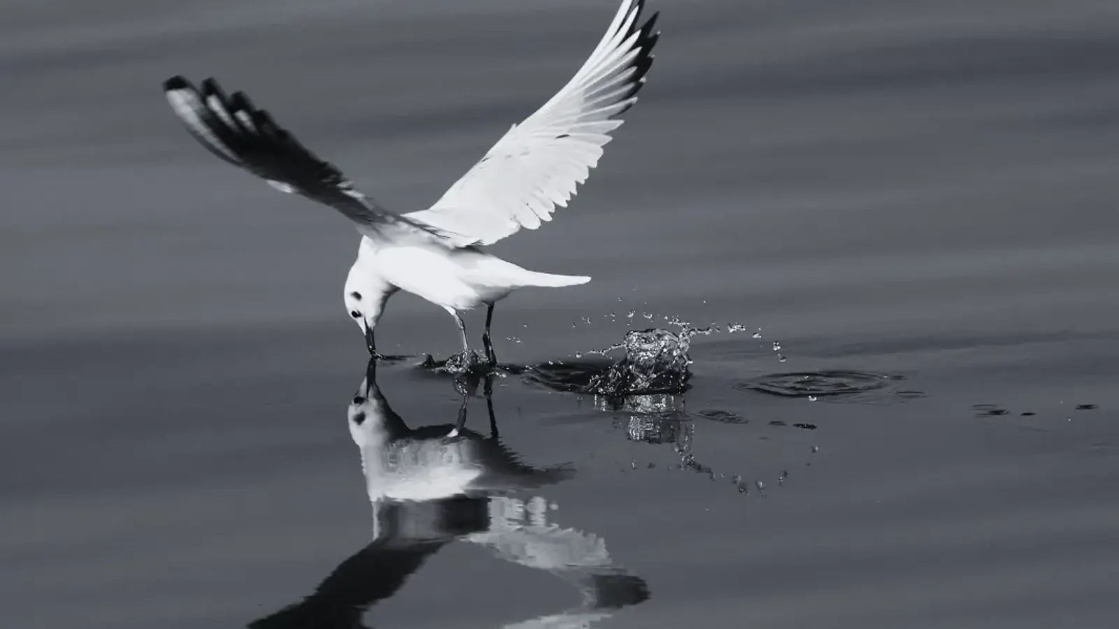 2024 reflections